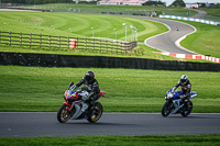 Lower Group Multicolour Bikes